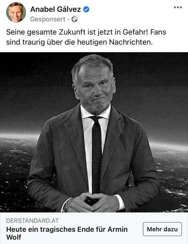 Van der Bellen et Armin Wolf&nbsp;: les escrocs sur Internet abusent des c&eacute;l&eacute;brit&eacute;s