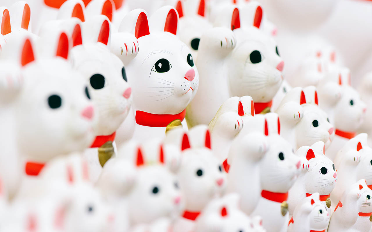 Chat assis, figure associée au terme neko sama dans la culture japonaise et sur internet