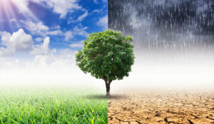 Quiz climat : sept questions pour tester ce que vous croyez vraiment savoir