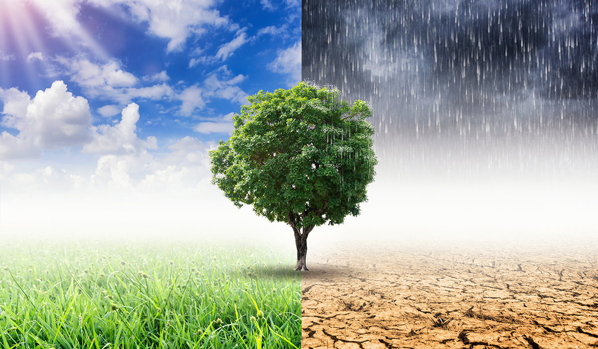 Quiz climat : sept questions pour tester ce que vous croyez vraiment savoir